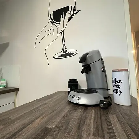 Appartement Maison-bonheur A 15 Mn De Lyon *