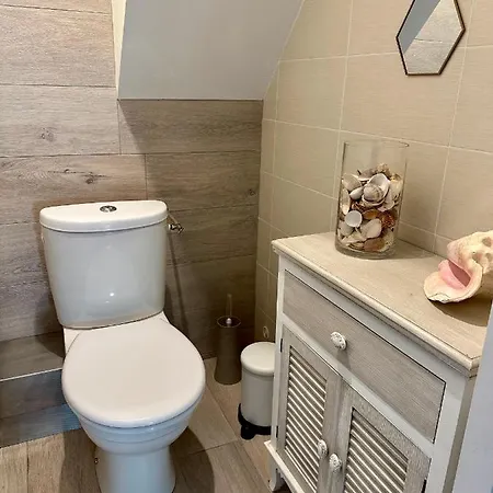 Appartement Maison-bonheur A 15 Mn De Lyon *